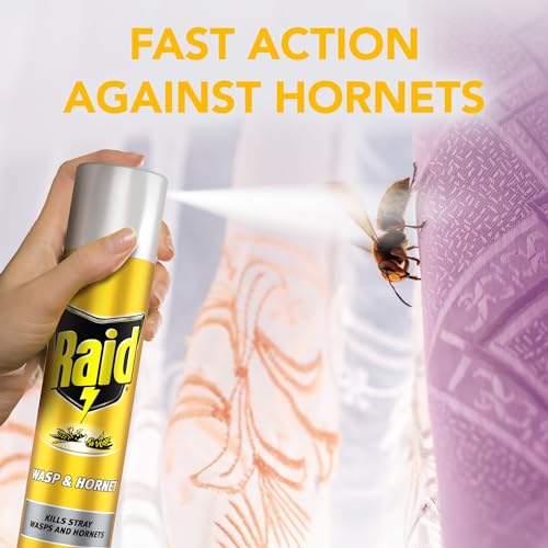 Raid Wasp & Hornet Killer, Fast Acting Aerosol Wasp Killer for Indoor Use, Pack of 6 (6 x 300ml) - Image 3