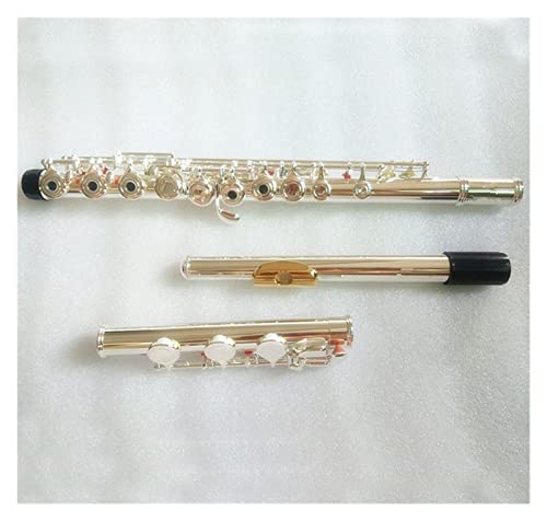 Zengxue �t���[�g�y�� �V���o�[�t���[�g���y�y��17 E�L�[�V���o�[C�`���[���t���[�g�S�[���h�}�E�X�s�[�X