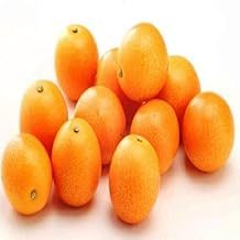 【Miyazaki Prefecture】Fully Ripe Kinkan, Size Varies, Approx. 1kg