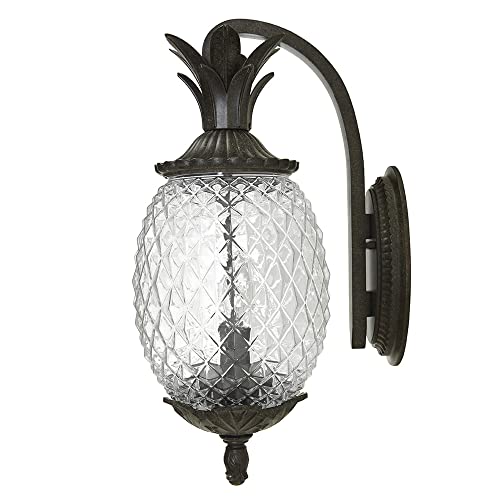 Acclaim 7502Bc Lanai Collection 2-Light Wall Mount Outdoor Light Fixture, Black Coral #TOP2