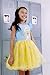 The Smurfs Smurfette Little Girls Tutu Tulle Dress Blue/Yellow 6