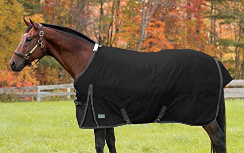 Rider's by Dover Saddlery Medium Weight Supreme Turnout Blanket - Black/Grey, 76