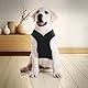 Hundepullover Kleine Hunde, 2Packungen Hundejacke Winter Hundemantel Für Kleine Hunde, Hundemantel Fleece mit D-Ringen Hundejacke Winter Für Innen- und Außenkleidung (Schwarz, grau)
