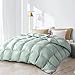 Puch gęsi, poszewka na kołdrę Full/Queen Size - Super miękka tkanina poliestrowa - 42 Oz 750 Fill Power Fluffy Medium Warm (90X90, Light Tide), Light Grey, 230x229cm (Light Grey 230x229cm)