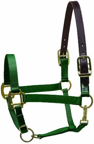 Perri's Premium Nylon Safety Halter, Horse, Hunter Green