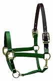 Perri's Premium Nylon Safety Halter, Horse, Hunter Green