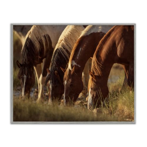 'Sunlit Horses Drinking Water Wildlife Nature'| Framed Giclee Art
