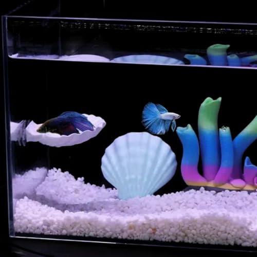 image for ELIRAR Betta Fish Hammock, Shell Pad with Strong Suction Cup Natural R