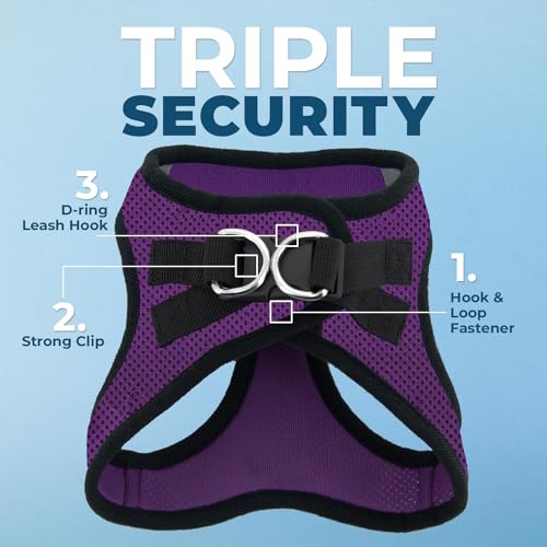 Image of Voyager Step-in Air All Weather Mesh Harness & Reflective Dog 5 ft Leash Combo, Neoprene Handle, for Small, Medium, Large Breed Puppies by Best Pet Supplies - Leash Harness (Purple /Black Trim), XS