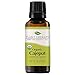 Plant Therapy USDA Certified Organic Cajeput Essential Oil 100% Pure, Undiluted, Therapeutic Grade (30 mL)