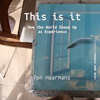 This is it: How the World Shows Up as Experience (Configurations of ...