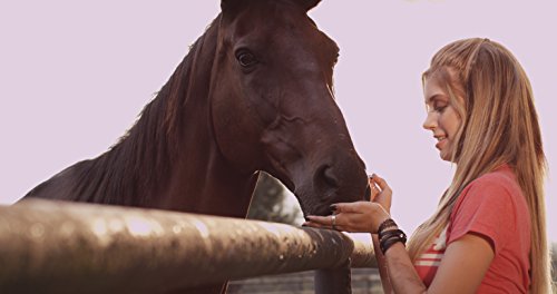 Frei wie der Wind (Glitzersticker-Edition)