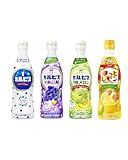 【カルピス 3種＋ほっとレモン】（希釈用） アソート/カルピス・完熟巨峰・芳醇メロン・ほっとレモン 各470ml ×１本 計4本 セット