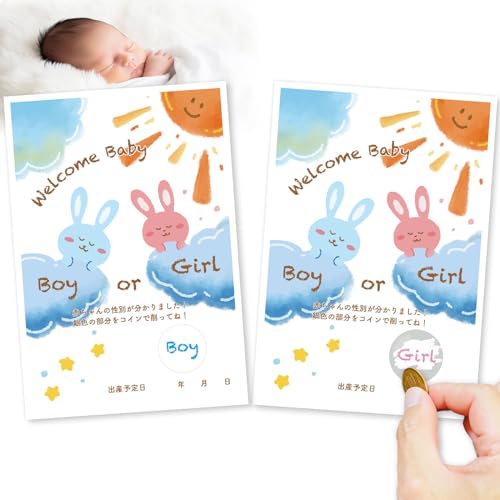 [킹H[] WF_[r[ J[h 3Zbg p3t TvCY Ԃ ʔ\ WF_[r[J[h U炩Ȃ P[L o[ NbJ[ _z (̎q(Girl))