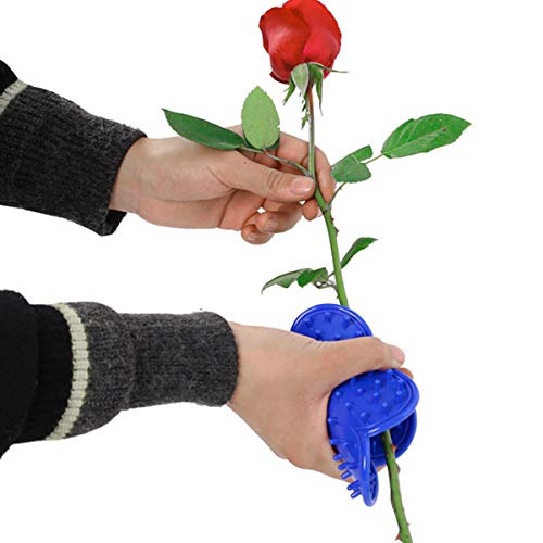 LUFOX 2pcs herramienta quitapúas para rosas de plástico miniatura 2