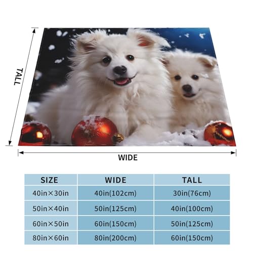 Couverture de Noël plaid idéal à offrir pour réchauffer les cœurs - 6