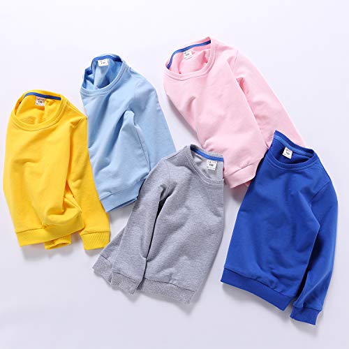 Alalimini Boys&Girls Crewneck Sweatshirts Toddler Kids Solid Cotton Long Sleeve Pullover Tshirts (Gray, 3T) #TOP5