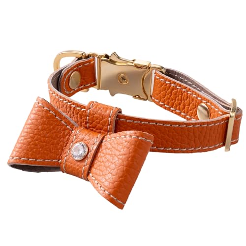 [Now&Fountain] y{z  {v { i`XL ^ ^ p C^AU[ IV Mtg CSN001-orn