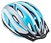 Schwinn Intercept Adult Helmet Silver/Blue