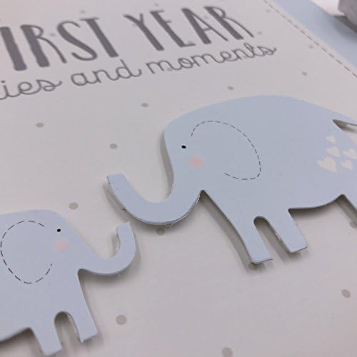 ukgiftstoreonline Baby Boy My First Year Keepsake Record Book (No Personalisation)