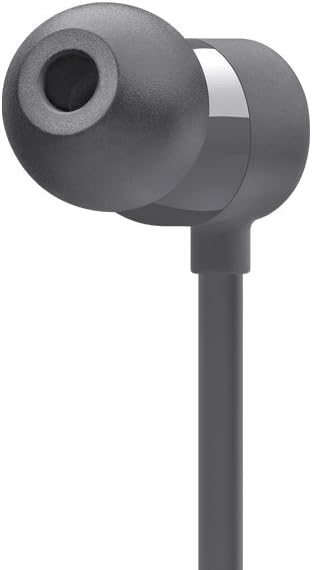 Apple BeatsX Earphones - Gray
