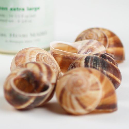 Escargot Shells (6 unit)