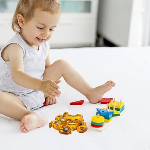 ibasenice Bernstein-Insekt 20 Stück Bunte Bernstein-Insekten-AnhäNger FüR Kinder – Kreatives Lernspielzeug Zur FöRderung Von Wissenschaftsinteresse Und Dekoration FüR Geschenke Und Outdoor-AktivitäTen