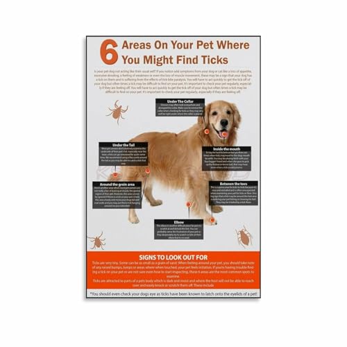 Areas On Your Pet Where You Might Find Ticks Poster Pet Hospital Wall Art (2) Canvas Painting Wall Art Poster for Bedroom Living Room Decor 16x24inch(40x60cm) Unframe-style