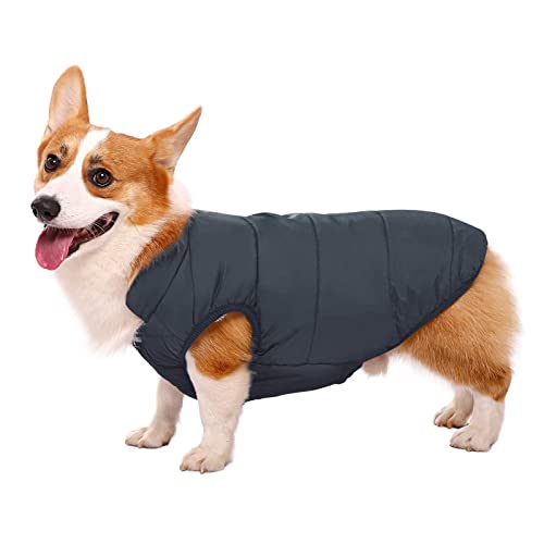 Asenku Windproof Dog Winter Jacket Waterproof Dog Coat Warm Dog Vest Cold Weather Pet Apparel With 2 Layers Fleece Lined For Small Medium Large Dogs (Xl, Blue) #TOP1