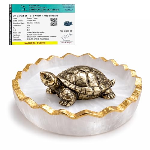 DIVARTH Original Certified Pyrite Tortoise (3x1 Inch) with Selenite Charging Plate, Vastu & Feng Shui Crystal Turtle for Good Luck, Wealth & Prosperit