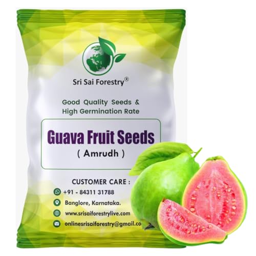 SRI SAI FORESTRY Guava Fruit Tree Seeds for Planting - 100 Premiu...