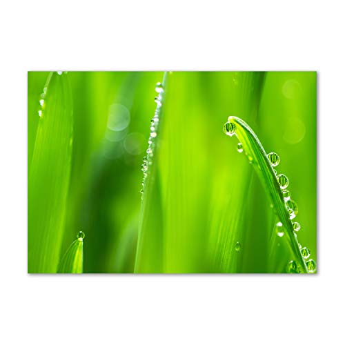 Splashback guard Tulup fond de hotte en verre de sécurité de qualité