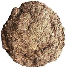 COriginal Cow Dung Cake Organic Gobar Ka Upla/Kanda for Hawan, Pujan & Religious Purpose (Round, 10 Inches) (Pack of 1,) 100% Natural Holy Cow Dung for Hawan, Pujan & Religious Ceremonies-image-27