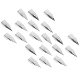 Plumes de stylo-plume pour la calligraphie – comprenant suffisamment de plumes de rechange performantes, que vous pouvez même partager avec un ami. fabriquées dans un matériau de qualité, elles ne se cassent ni ne se déforment facilement
