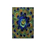 3D Rose Natural Peacock Feather Patterns-As10 Dfr0096-David R. Frazier Hand/Sports Towel, 15 x 22