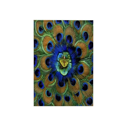 3D Rose TWL_73909_1 Natural Peacock Feather Patterns - -As10 Dfr0096 - David R. Frazier Towel, 15 x 22