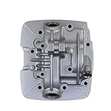 Motorcycle Cylinder Head Compatible with Suzuki GS200 GXT200 DR200 DJ Ebel200 QM200 GyQS GXT QM DR 200 CC