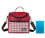DAROSS 6L Insulated Lunch Bag for men&women，Reusable Lunch Box with Adjustable Strap Small Cooler B