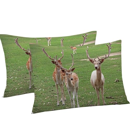 Housse de Couette 220x240 Cerf en Microfibre Douce avec Fermeture Éclair - 8