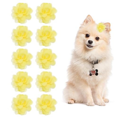 PETAXCELL Flower Dog Hair Bows, Pet Flower Cute Hair Collar with Clips Soft Chiffon Cat Tie Floral Grooming Accessories, (Light Yellow, 10Pcs), Intended for Small Puppies Cat Party Birthday