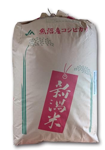 َYX VRVqJ Ó쒬Y ͌  ߘa6NY _򏭂Ȃ߁I (30kg)