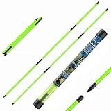 CAITON Golf Alignment Sticks 2 Pack, 48 Inch Collapsible Alignment Rods with Clear Storage Tube, Swing Training Aid for Aiming, Putting, Swing Path & Posture Correction