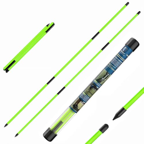CAITON Golf Alignment Sticks 2-Pack 48-in Collapsible Rods Green
