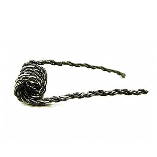 10x Coil vorgewickelte Fertigcoils Widerstand Draht KA1 Ni80 316L Selbstwickler Ohm Draht Wicklung Subohm Wickeldraht (10x Giant Coil, KA1 0,25 Ohm)