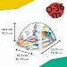 Baby Einstein, 4 in 1 Kickin' Tunes Spieldecke mit 70+ Geräuschen, 25+ Minuten Musik, Erlebnisdecke mit Klavier und Lichtern, Spielmatte mit Spielbogen abnehmbarem Babyspielzeug, ab der Geburt