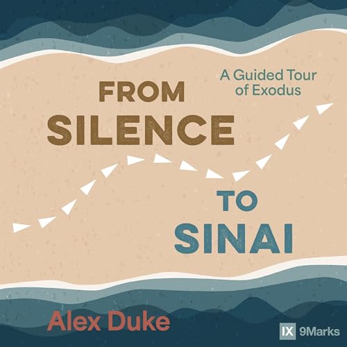 Page de couverture de From Silence to Sinai