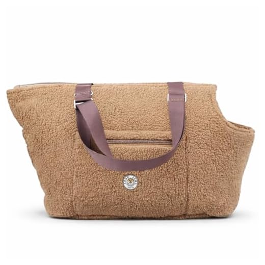 Stylish Teddy Bear Pet Carrier for Travels