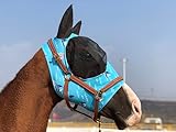 TGW RIDING