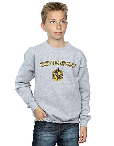 Harry Potter Boys Hufflepuff Crest Sweatshirt Sport Grey 3-4 Years