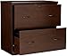 Z-Line Designs 2-Drawer Lateral File Espresso Cabinet with Black Accents